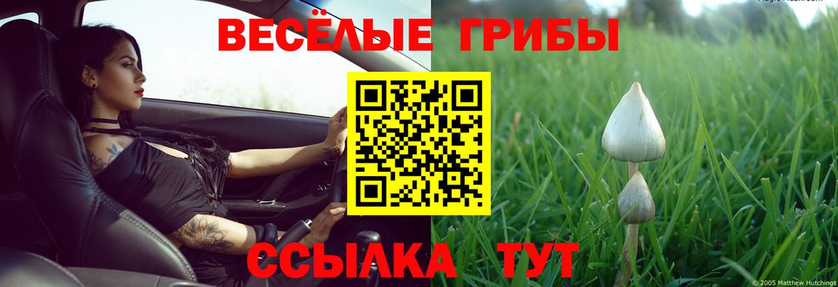 Вязники  Псилоцибиновые грибы мицелий  Вход с VPN 