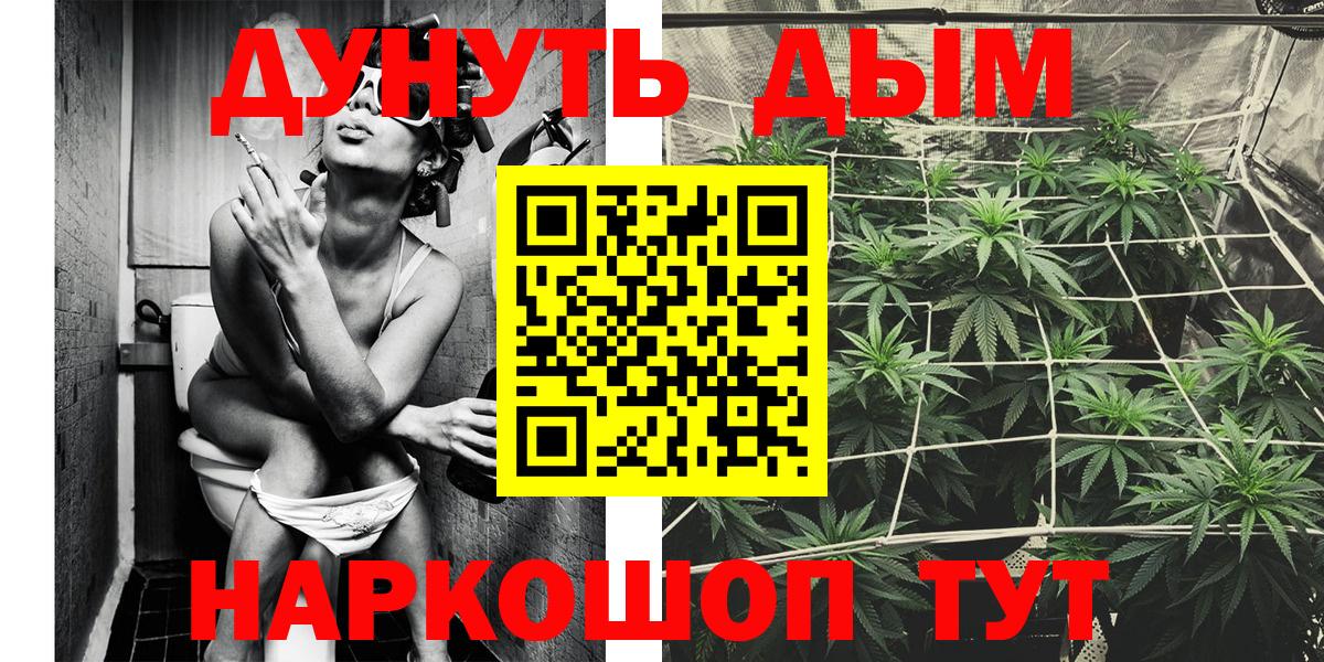 Вязники  Каннабис тримм  Бошки марихуана план  Бошки марихуана сатива  Вход с VPN 